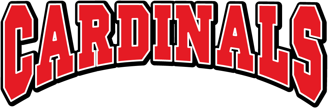 Incarnate Word Cardinals 1998-2010 Wordmark Logo diy iron on heat transfer